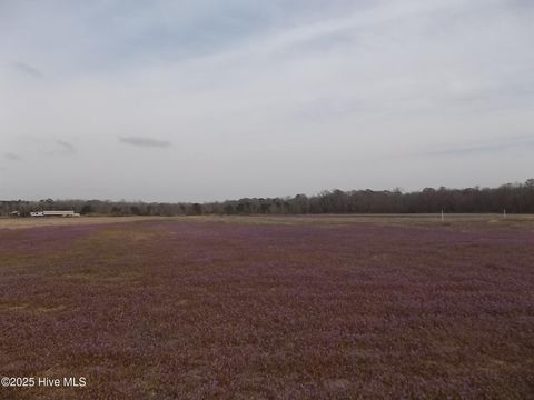  in South Mills NC 271 Old Swamp Road.jpg