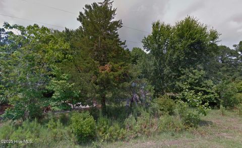  in Shallotte NC 4270 Happy Valley Lane.jpg