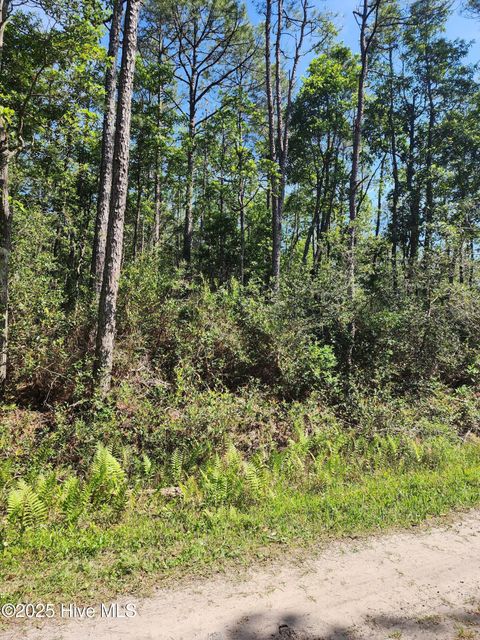  in Boiling Spring Lakes NC Lot 60 Drake Road.jpg