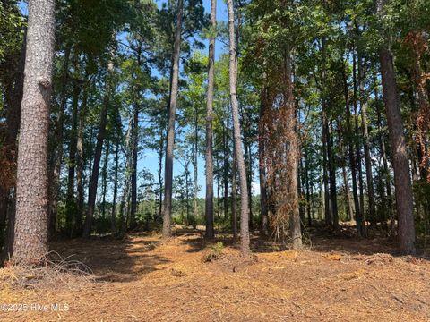  in Tabor City NC 4102-001 Near 4102 Swamp Fox.jpg