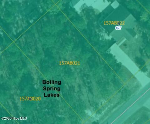  in Boiling Spring Lakes NC 103 Westwood Rd.jpg