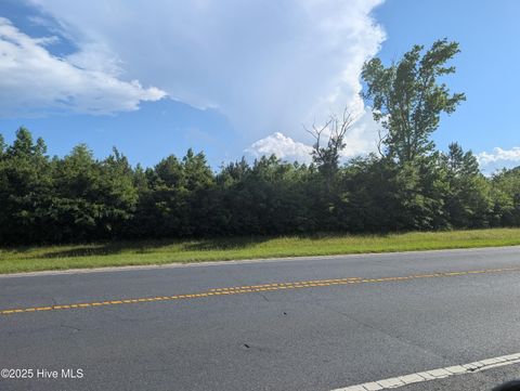  in Clarkton NC 0 Cdr Frank Elkins Memorial Highway.jpg