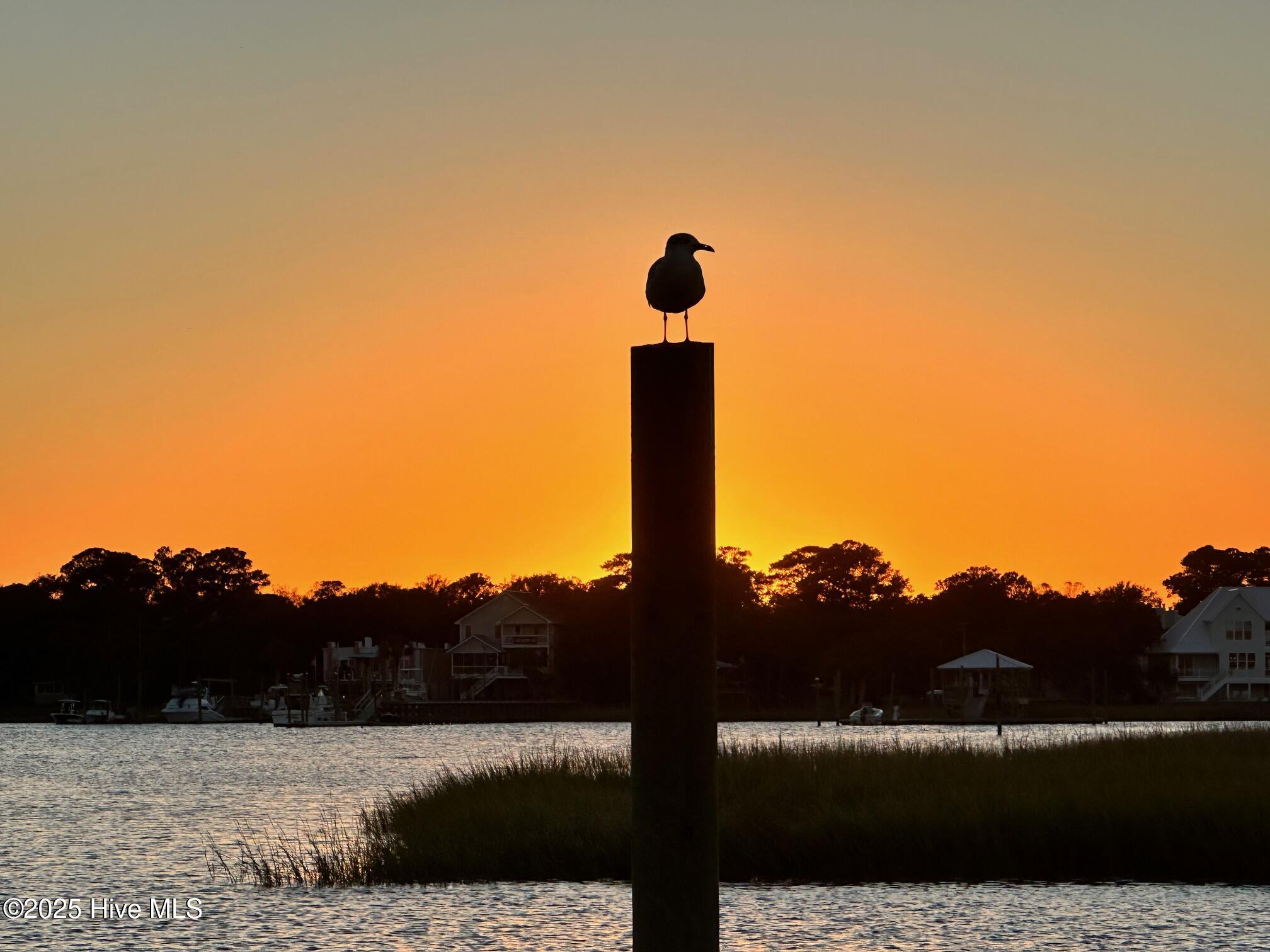 Condominium in Carolina Beach NC 1305 Canal Drive #Apt 3 21.jpg