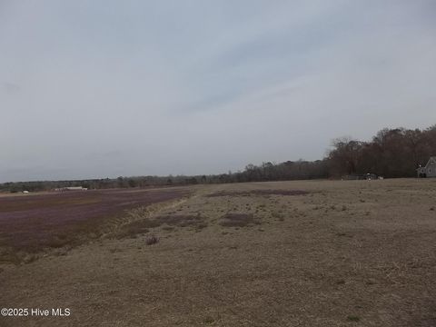  in South Mills NC 261 Old Swamp Road.jpg