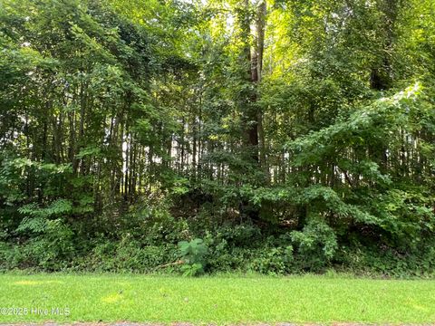  in Edenton NC 204 Colony Drive.jpg