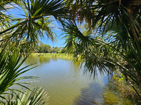  in Bald Head Island NC 30 Sabal Palm Trail.jpg
