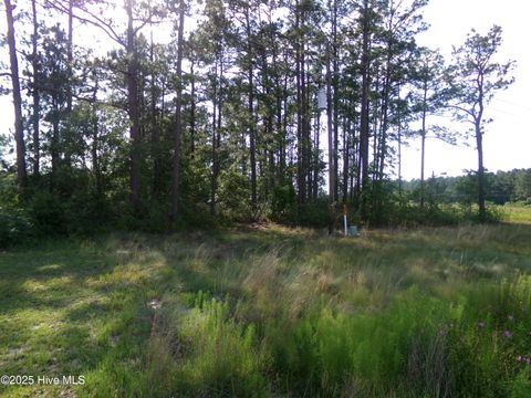 in Elizabethtown NC Lots 35-38 Us 701 Highway.jpg