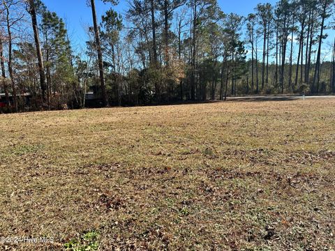  in Columbia NC Lot 2 Hwy 94.jpg