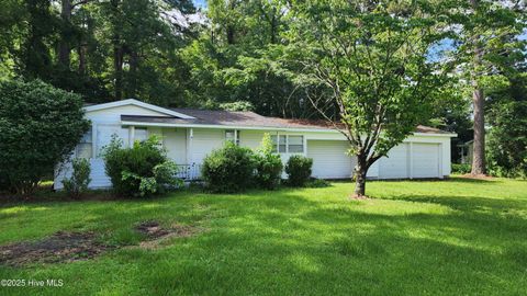 Single Family Residence in Tabor City NC 15569 James B White Highway.jpg