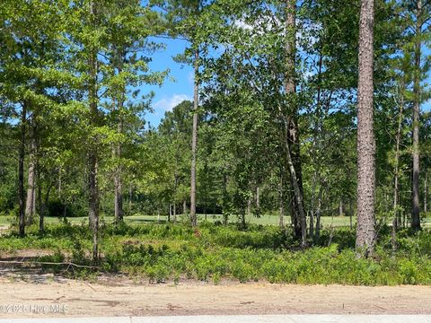  in Leland NC 8755 Compass Pointe West Wynd.jpg