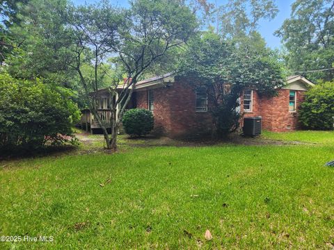 Single Family Residence in Castle Hayne NC 1521 Oakley Road.jpg
