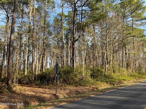  in Castle Hayne NC 5408 Prosperity Lane.jpg