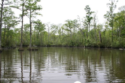 in Hertford NC Lot 58 See View Lane.jpg