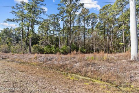  in Shallotte NC 662 Bricklanding Road.jpg