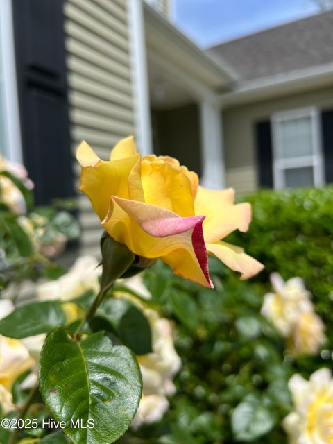 Single Family Residence in Camden NC 100 Lauren Lane 37.jpg
