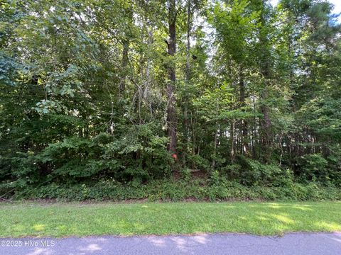  in Edenton NC 206 Colony Drive.jpg