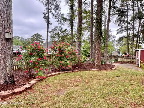 Single Family Residence in Camden NC 106 Camelia Drive 10.jpg