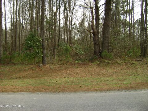  in Columbia NC 348 Country Estates.jpg