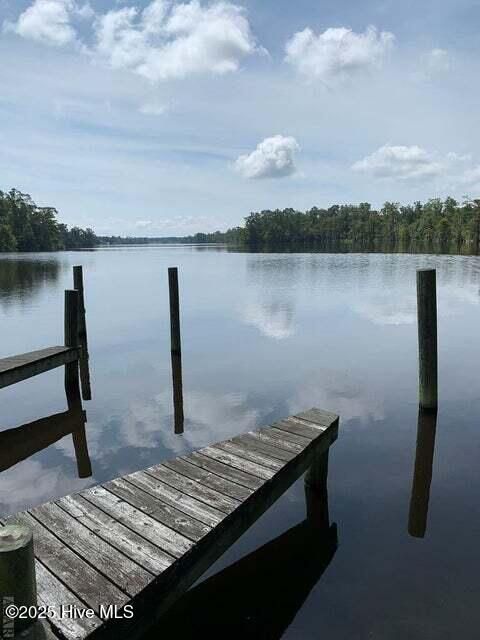  in Hertford NC 117 Shady Circle.jpg