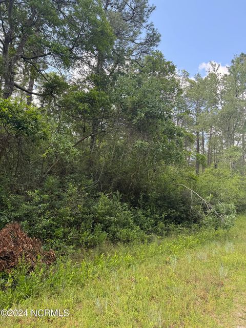  in Boiling Spring Lakes NC Lot 83 Beech Road.jpg