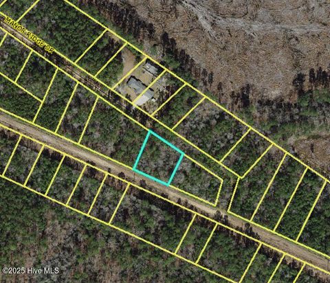  in Clarkton NC Lot 36 Fontana Lane.jpg