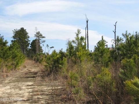  in Barco NC 4161 Caratoke Highway.jpg
