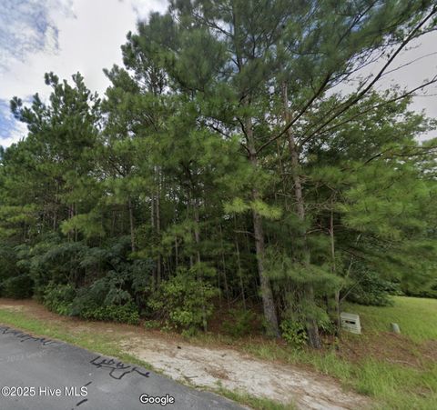 in Havelock NC 325 Farina Drive.jpg