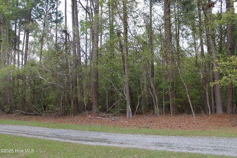  in Edenton NC 305/307 Yakima Trail.jpg
