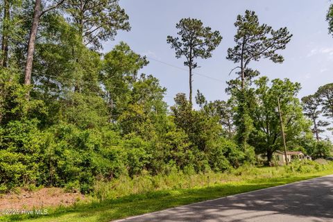  in Castle Hayne NC 3014 Oakley Circle.jpg