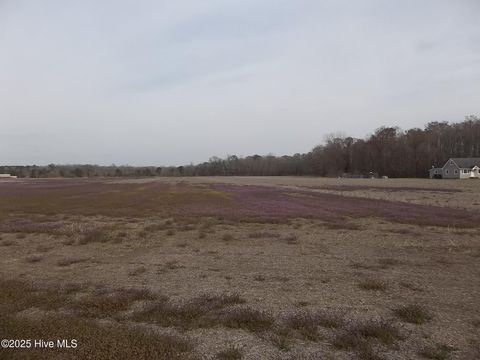  in South Mills NC 265 Old Swamp Road.jpg
