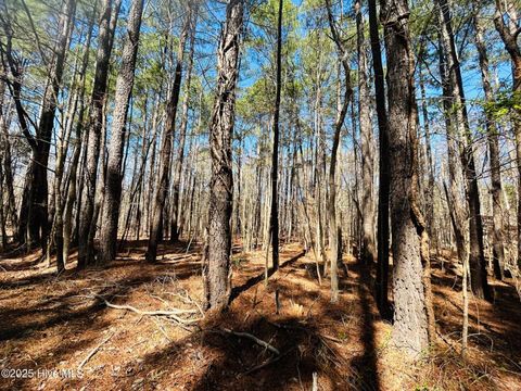 in Hertford NC 53 Hunt Club Trail.jpg