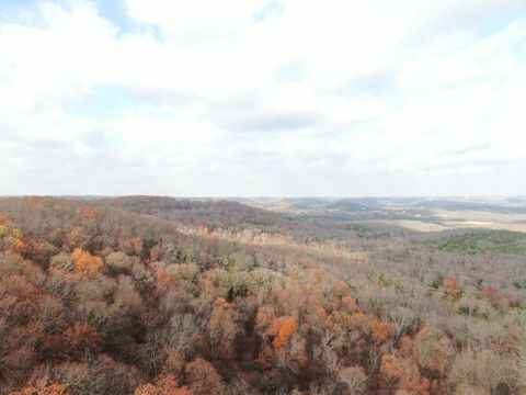  in Branson MO Lot 2 Sycamore Ridge Estates.jpg