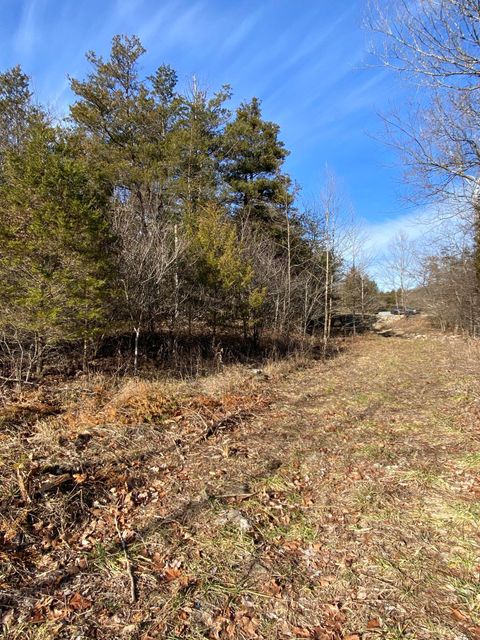 Unimproved Land in Branson MO 000 Branson Hills Parkway; Tract 1.jpg