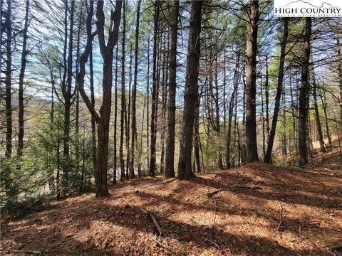 in Fleetwood NC TBD (Lot 73) Creekside Meadows Drive.jpg