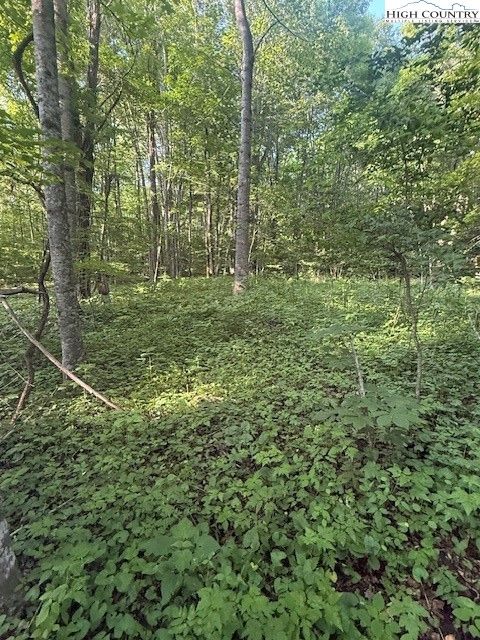  in Creston NC Lot 10 & 11 Billy Bob Lane.jpg