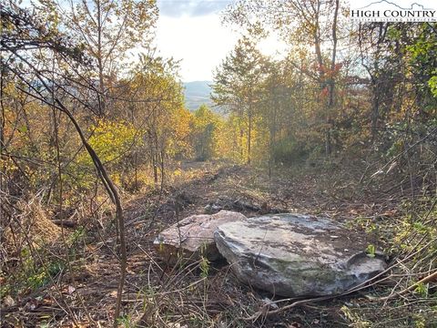  in Sparta NC Lot 58 Toms Knob Road.jpg