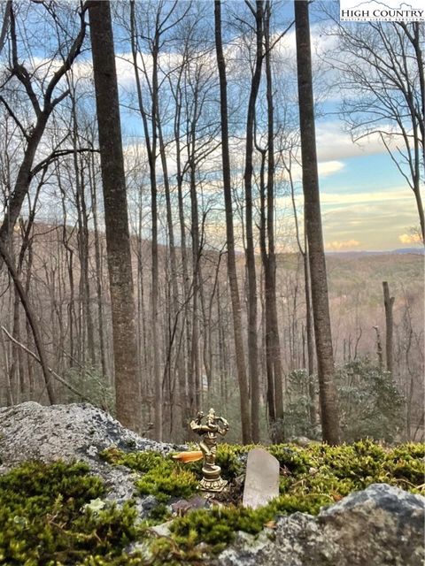  in Deep Gap NC 48 Wildcat Wilderness Parkway.jpg
