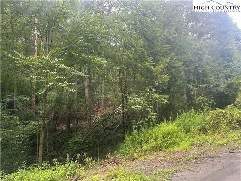  in Fleetwood NC Lot 3 Cedar Cove Lane.jpg