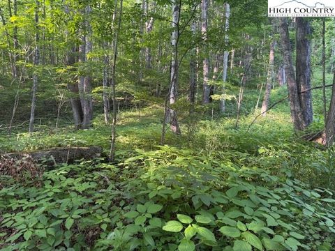 in Creston NC Lot 58 & 59 Beechwood Circle.jpg