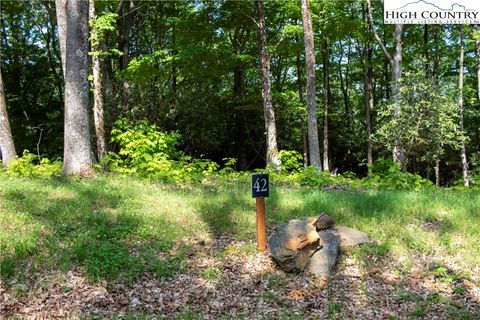  in Boone NC Lot 42 Poplar Forest Drive.jpg