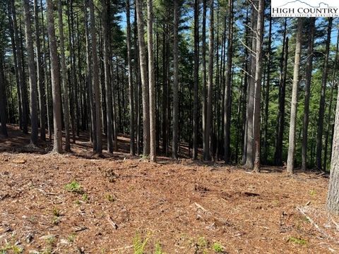  in West Jefferson NC Lot 37 Smoke Rise Path 16.jpg