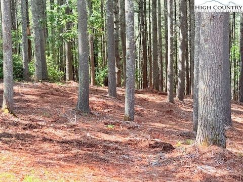  in West Jefferson NC Lot 37 Smoke Rise Path 2.jpg