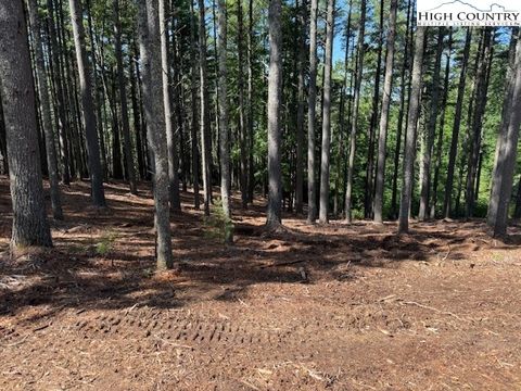  in West Jefferson NC Lot 37 Smoke Rise Path 12.jpg