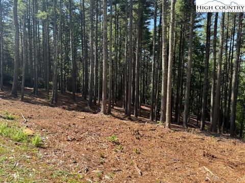  in West Jefferson NC Lot 37 Smoke Rise Path 13.jpg