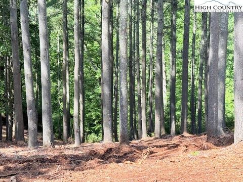  in West Jefferson NC Lot 37 Smoke Rise Path 3.jpg