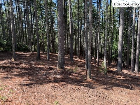  in West Jefferson NC Lot 37 Smoke Rise Path 7.jpg