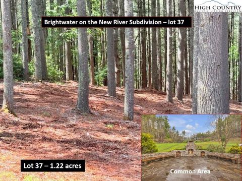  in West Jefferson NC Lot 37 Smoke Rise Path.jpg