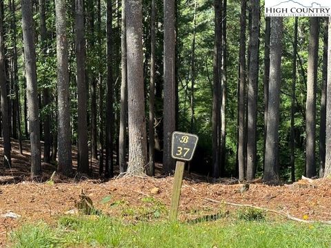  in West Jefferson NC Lot 37 Smoke Rise Path 1.jpg