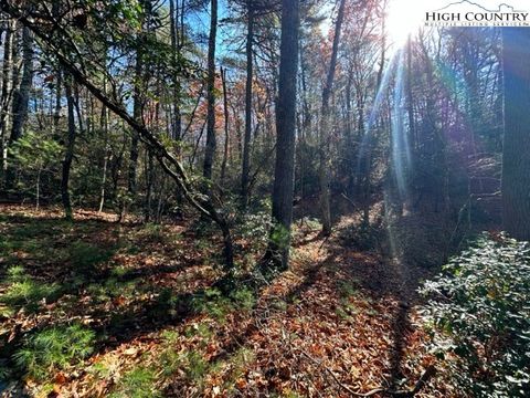  in West Jefferson NC Lot 31 & 32 Thoreau Court.jpg