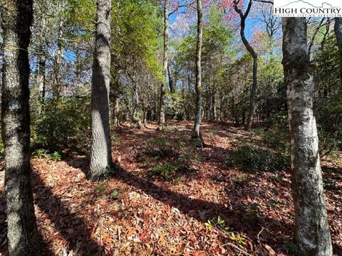  in West Jefferson NC Lot 32 Thoreau Court.jpg